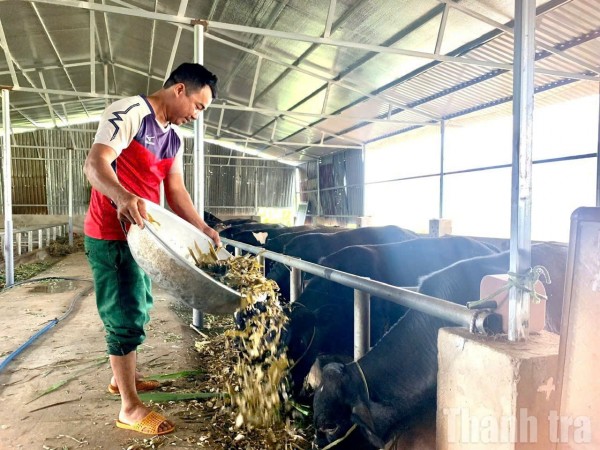 Thông tin dẫn lối, liên kết sản xuất tạo đột phá giảm nghèo bền vững ở xã Hòa Sơn